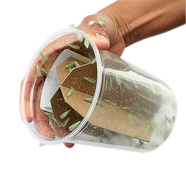 GrowersHouse Chrysoperla rufilabris - Control - Aphid