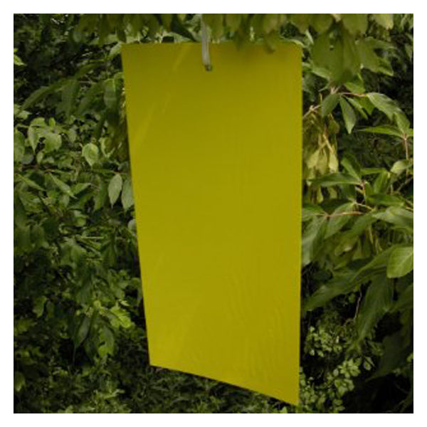 GrowersHouse Sticky traps - Yellow - Bug-Scan Dry Yellow 25x10cm