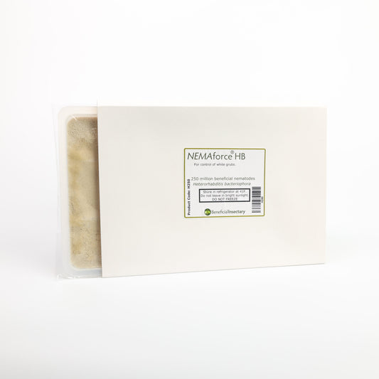 NEMAforce HB packaging on a white background