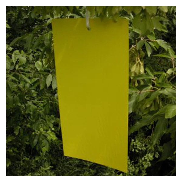 GrowersHouse Sticky traps - Yellow - Bug-Scan Dry Yellow 25x40cm