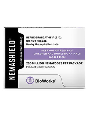 Steinernema feltiae (NemaShield Sf Invivo) - Beneficial Insects - Control - Fungus Gnat, Shore Fly, Thrips pupae